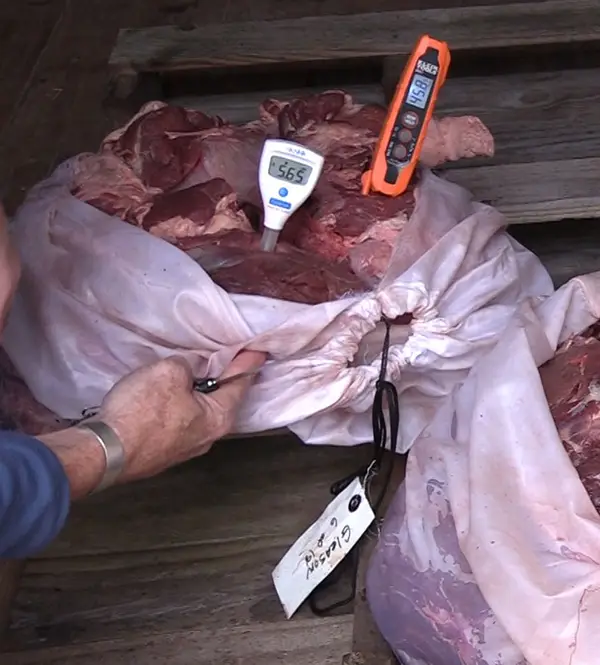pH in meat